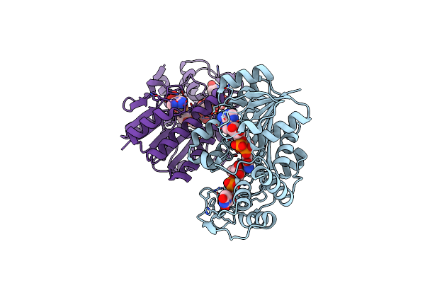 4ZRN image