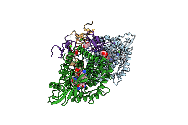 4ZRP image