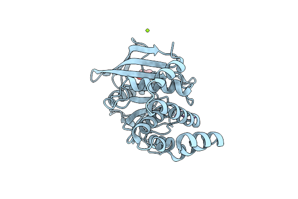 4ZRT image