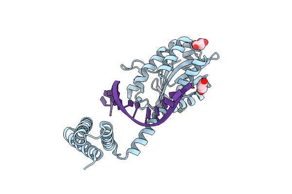 4ZSF image