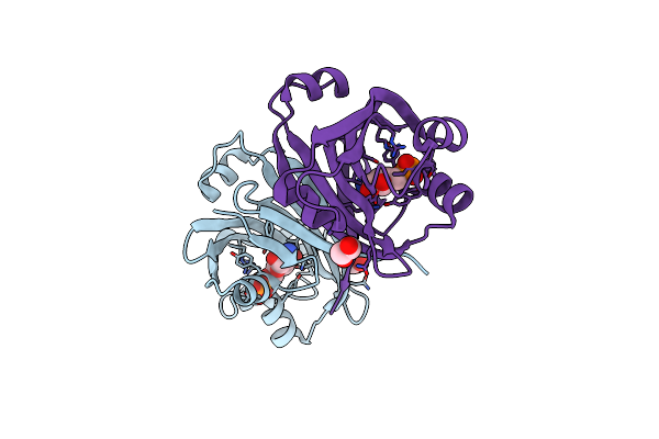 4ZSI image