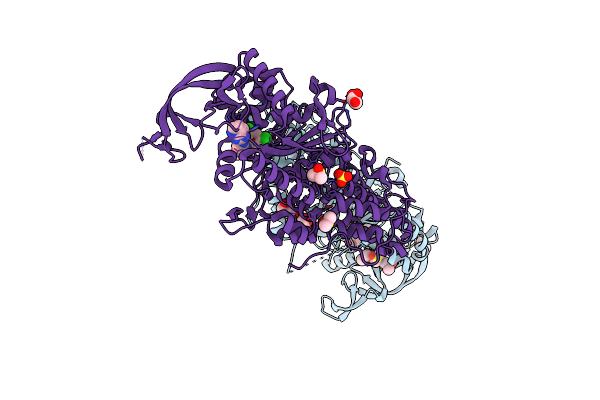 4ZT5 image