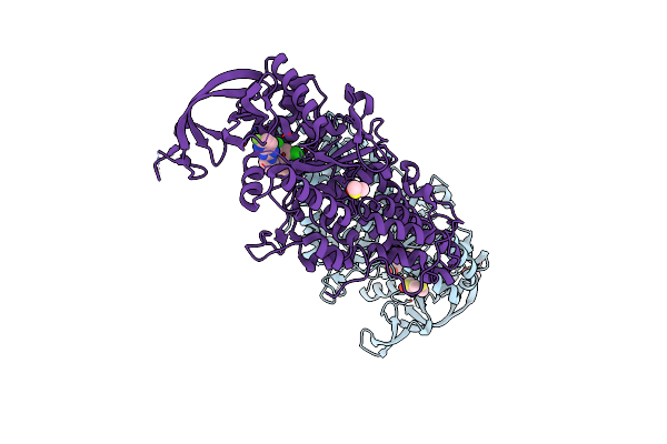 4ZT6 image