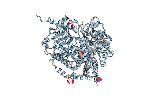 4ZTX image