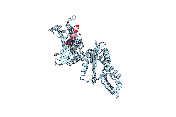 4ZVI image