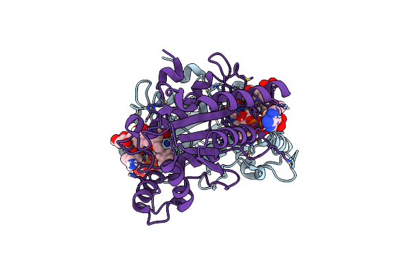 4ZVM image
