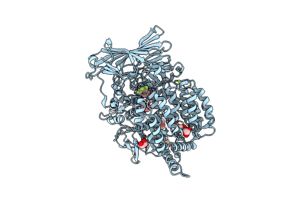 4ZX4 image