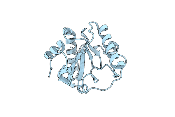 4ZXM image