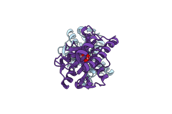 4ZXP image