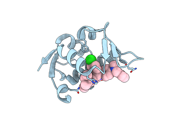 4ZYI image