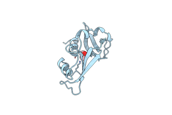 4ZZ4 image
