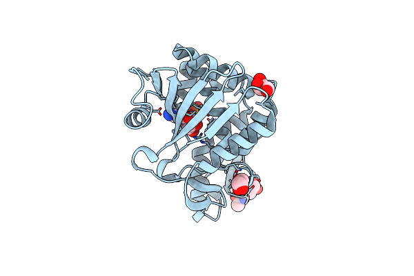 4ZZ6 image