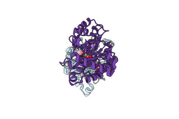 4ZZ9 image