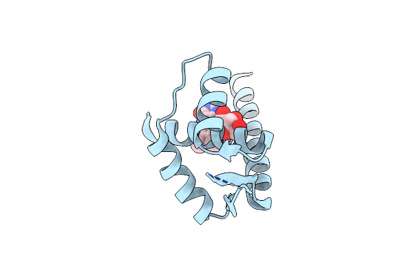 4ZZD image