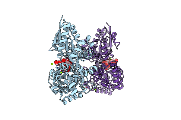 4ZZE image