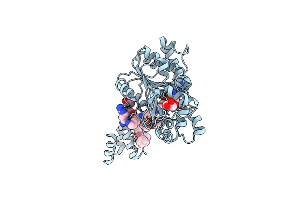 4ZZJ image