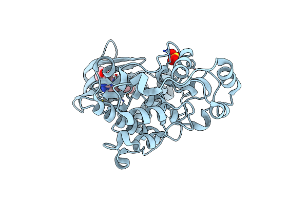 4ZZM image