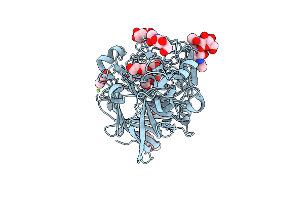 4ZZW image