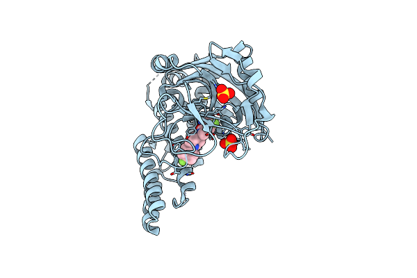 5A00 image