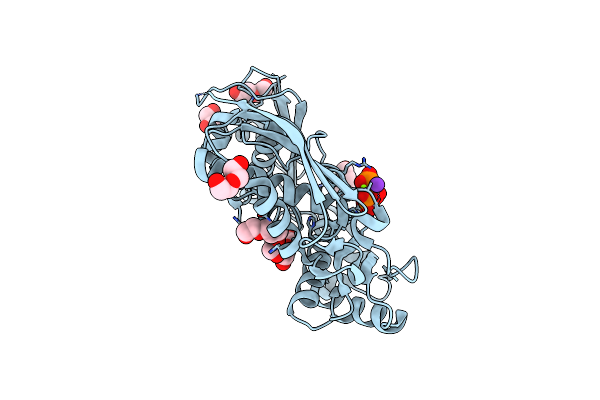 5A19 image