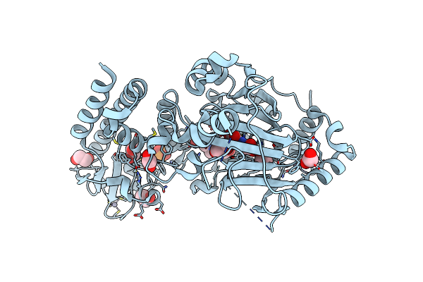 5A1F image