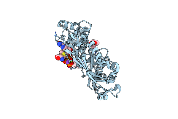 5A1G image