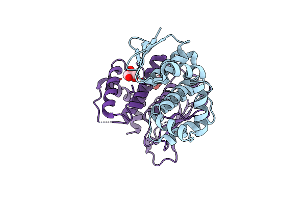 5A1N image