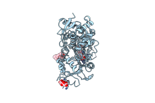 5A1P image