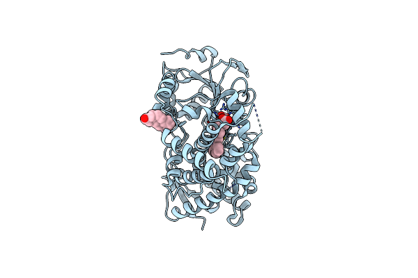 5A1R image
