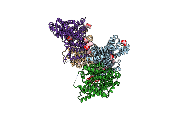 5A1S image