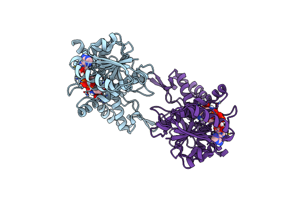 5A1T image
