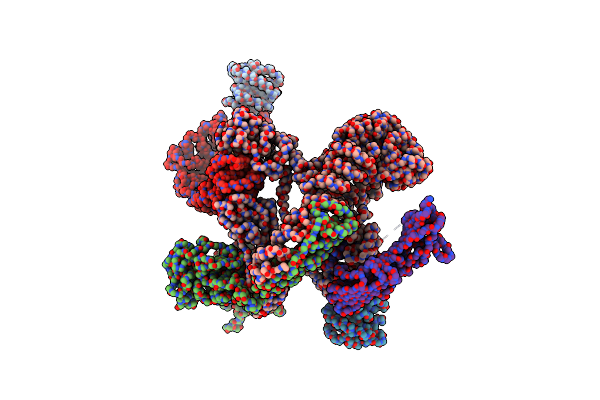 5A1W image