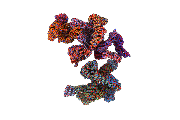 5A1X image
