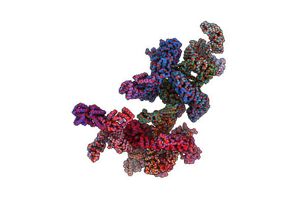 5A1Y image