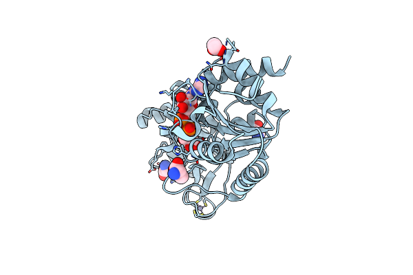 5A3B image