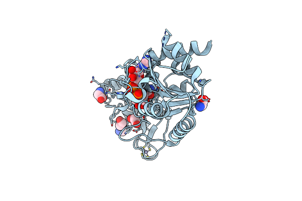 5A3C image
