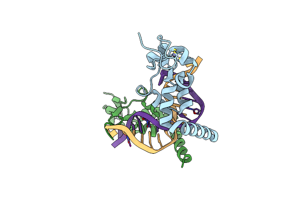 5A3D image
