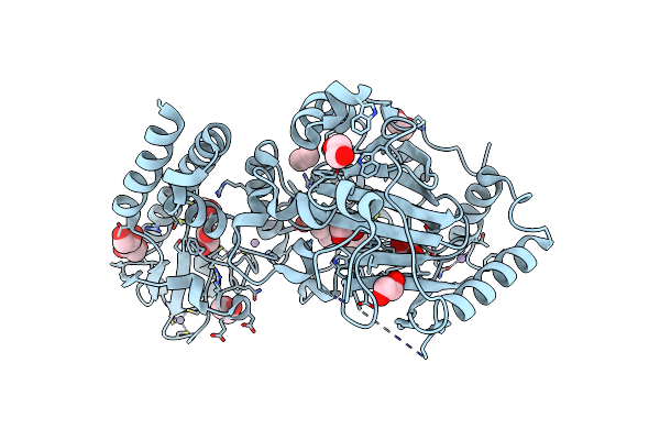 5A3P image