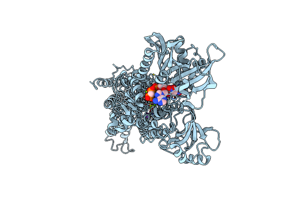 5A3R image