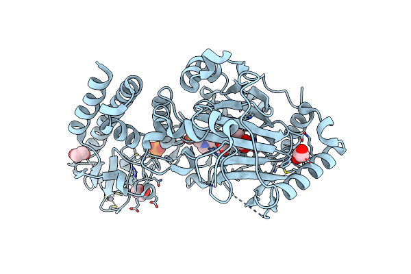 5A3W image