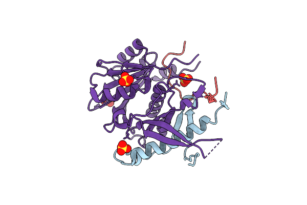 5A53 image