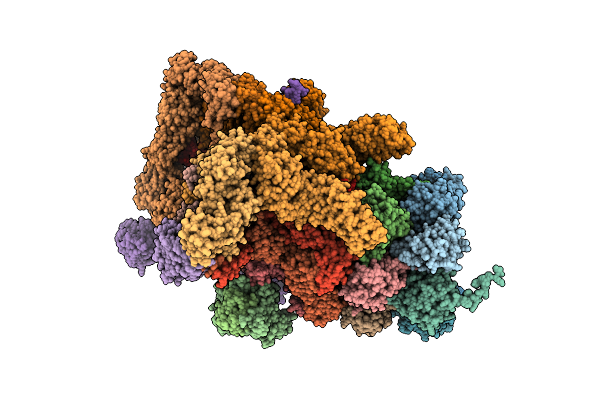 5A5B image