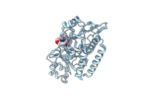 5A5D image