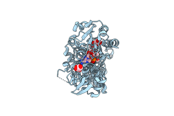 5A5F image