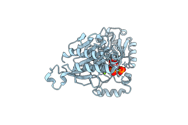 5A5L image