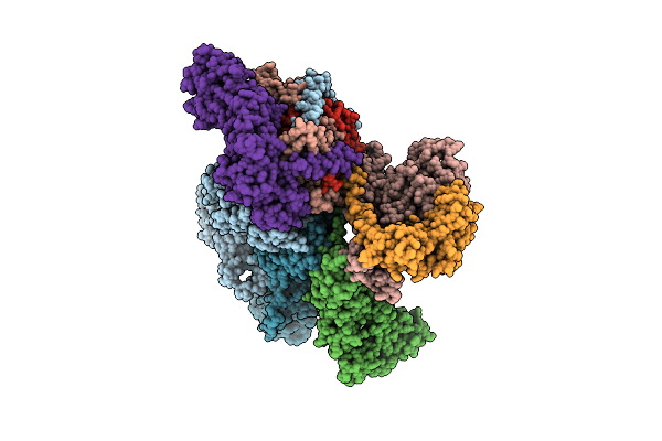 5A5T image