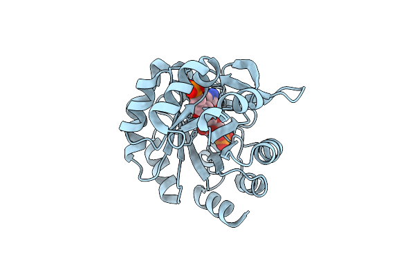 5A5W image