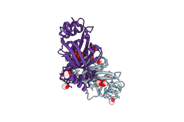 5A5Y image