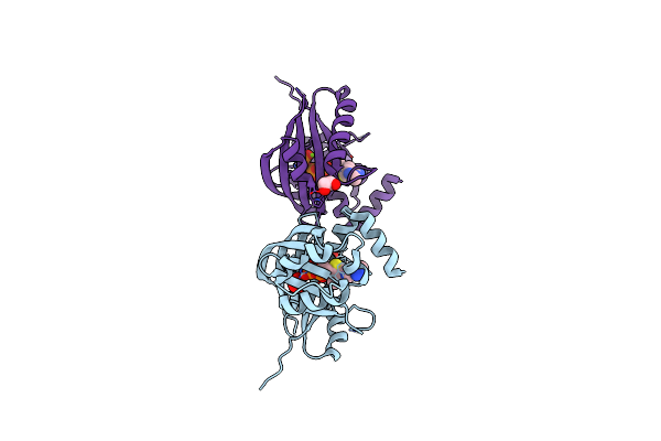 5A65 image