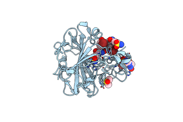 5A6H image
